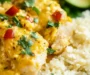 Cheesy Chicken and Rice: An Amazing Ultimate Recipe
